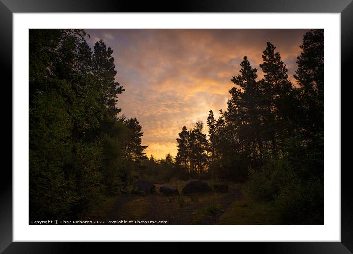 Sunrise Amongst the Pines Framed Mounted Print by Chris Richards