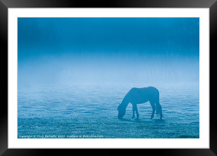 New Forest Pony Framed Mounted Print by Chris Richards