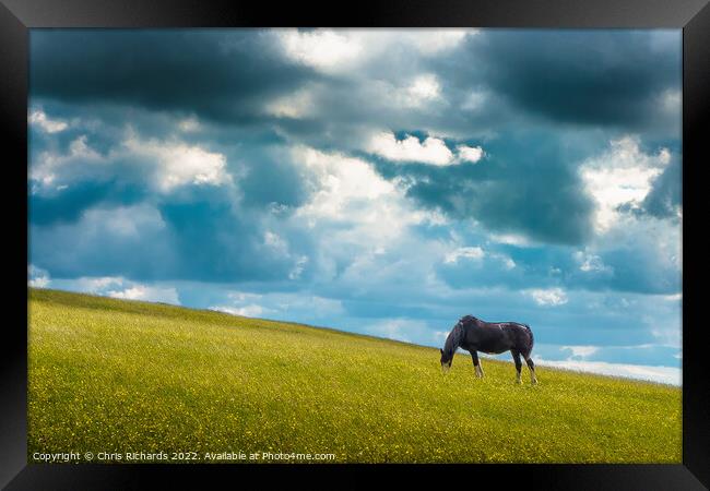 Horse Grazing on Betws Framed Print by Chris Richards