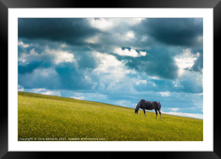 Horse Grazing on Betws Framed Mounted Print by Chris Richards