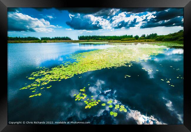 Llyn Leich Owain Lilies Framed Print by Chris Richards