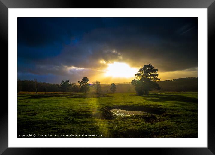 Dramatic Light on Ashdown Forest Framed Mounted Print by Chris Richards