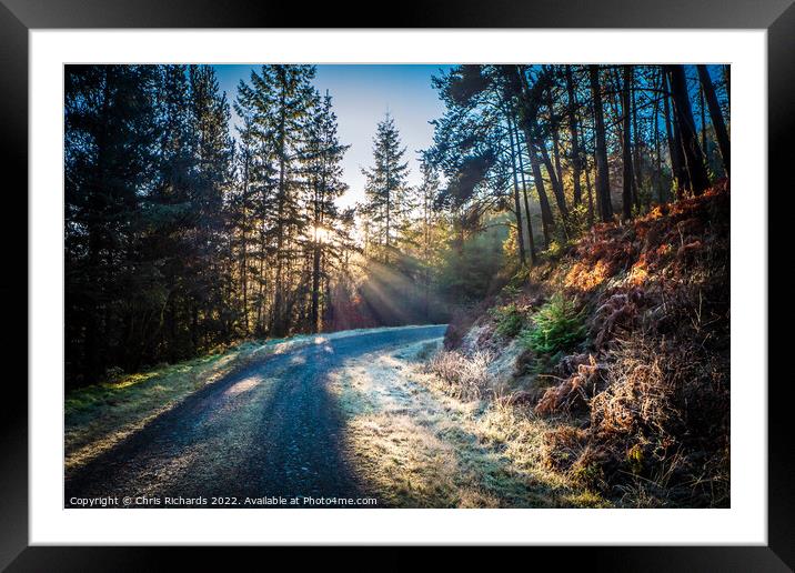 Frosty Morning in Brechfa Forest, Carmarthenshire Framed Mounted Print by Chris Richards