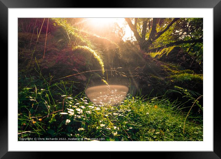 Morning at Gwenffrwd-dinas Framed Mounted Print by Chris Richards
