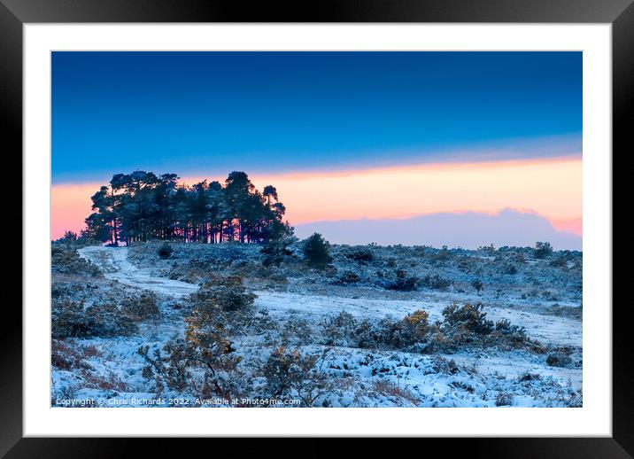 Camphill Clump Sunset in the Snow Framed Mounted Print by Chris Richards
