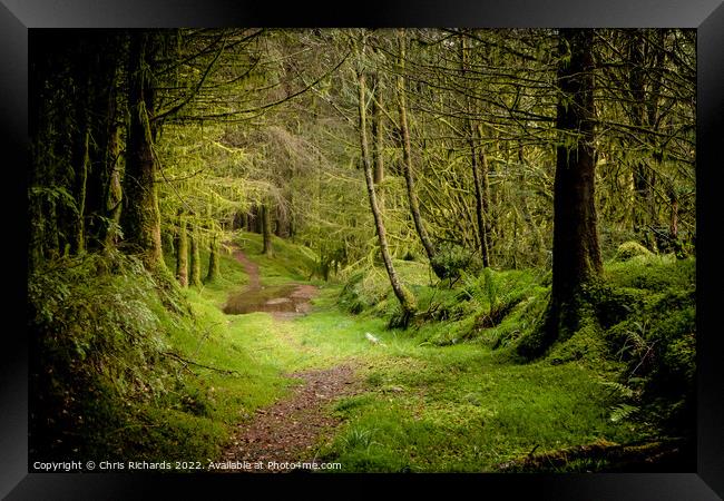 Coed Y Brenin Forest, Snowdonia Framed Print by Chris Richards