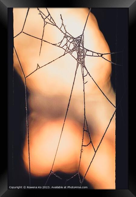 Frosty spider web in a Winter Morning Framed Print by Rowena Ko