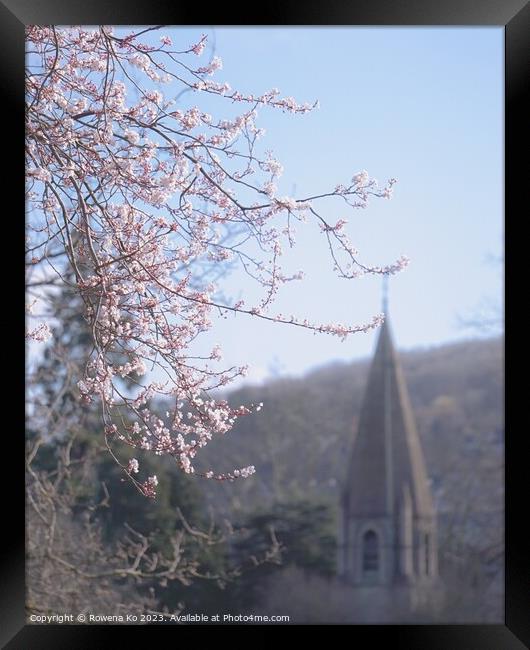 Early spring cherry blossom  Framed Print by Rowena Ko