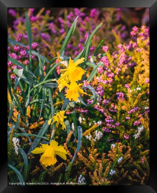 Blooming garden showing in spring sunlight Framed Print by Rowena Ko