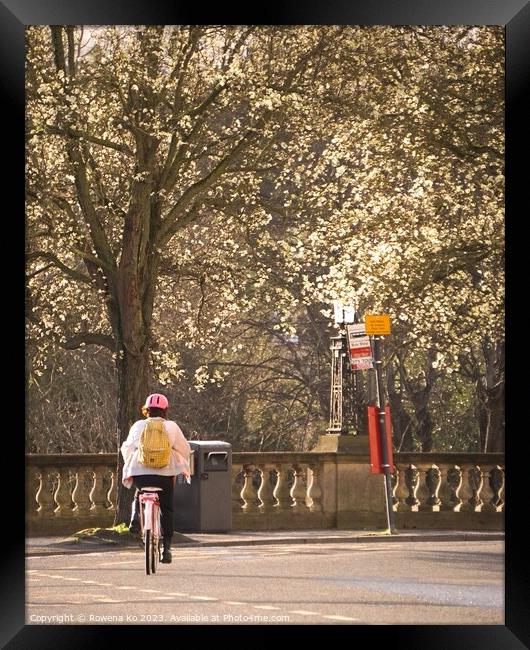 Cycling into blooming spring  Framed Print by Rowena Ko