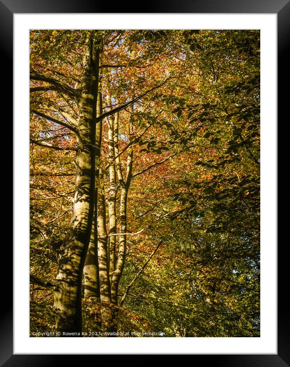 Fall mood photo of cotswold city Bath in Autumn Framed Mounted Print by Rowena Ko