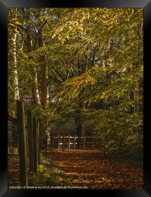 Fall mood photo of cotswold city Bath in Autumn Framed Print by Rowena Ko