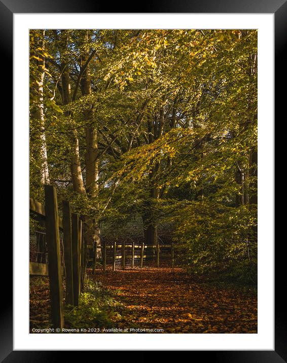 Fall mood photo of cotswold city Bath in Autumn Framed Mounted Print by Rowena Ko