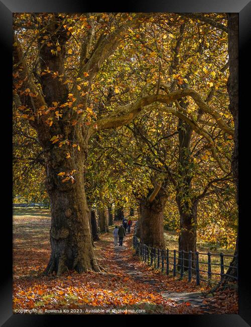 Fall mood photo of cotswold city Bath in Autumn Framed Print by Rowena Ko