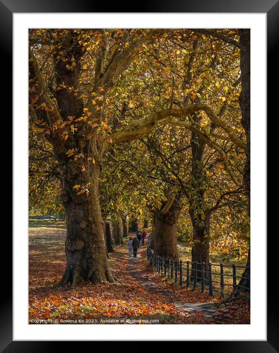 Fall mood photo of cotswold city Bath in Autumn Framed Mounted Print by Rowena Ko
