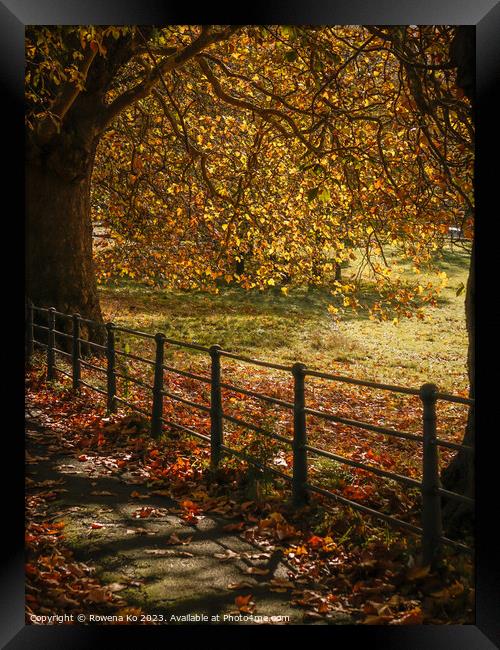 Fall mood photo of cotswold city Bath in Autumn Framed Print by Rowena Ko