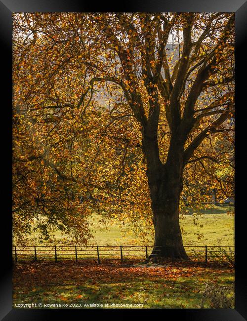 Fall mood photo of cotswold city Bath in Autumn Framed Print by Rowena Ko