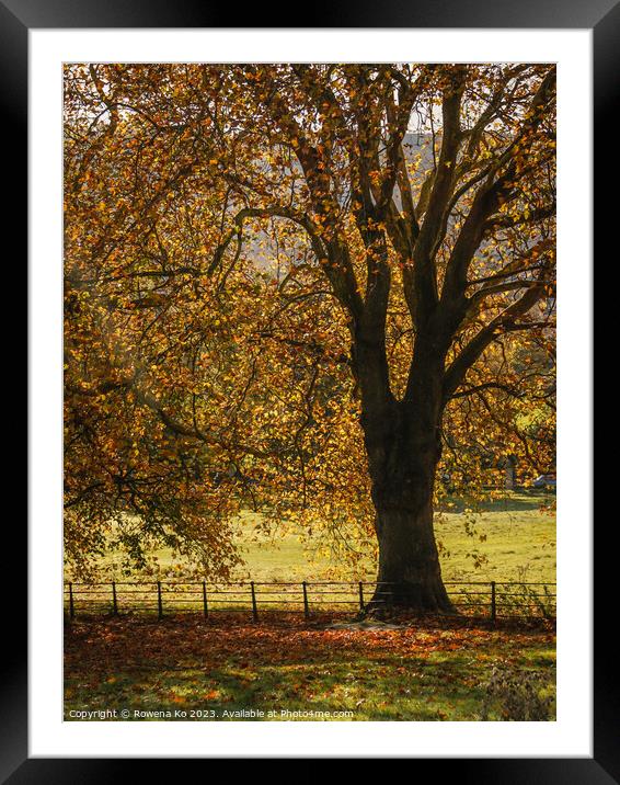 Fall mood photo of cotswold city Bath in Autumn Framed Mounted Print by Rowena Ko