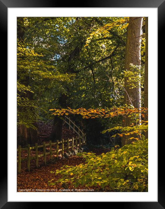 Fall mood photo of cotswold city Bath in Autumn Framed Mounted Print by Rowena Ko