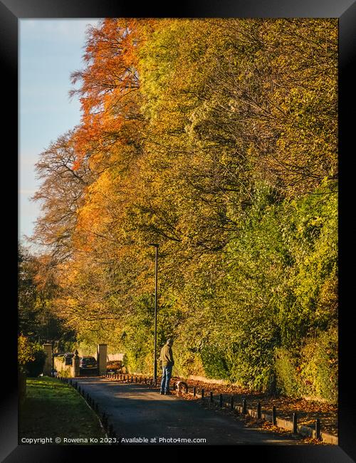 Fall mood photo of cotswold city Bath in Autumn Framed Print by Rowena Ko