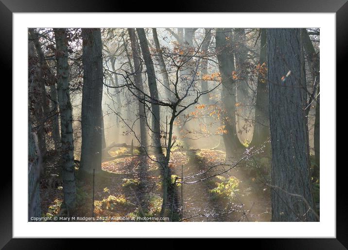 Trees in the Mist Framed Mounted Print by Mary M Rodgers