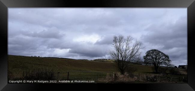 Angus Landscape Scotland Framed Print by Mary M Rodgers