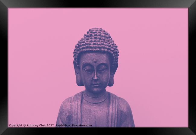 Candy Buddha Framed Print by Anthony Clark