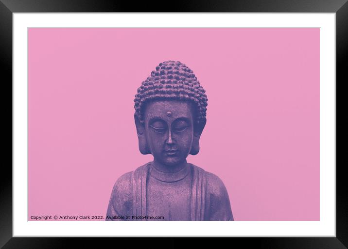 Candy Buddha Framed Mounted Print by Anthony Clark
