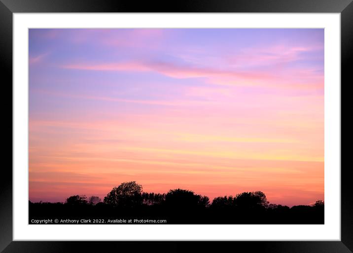 Pink Clouds at Sunset Framed Mounted Print by Anthony Clark