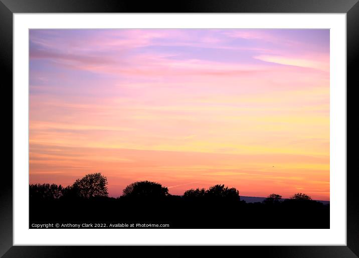 Treeline Sunset Framed Mounted Print by Anthony Clark