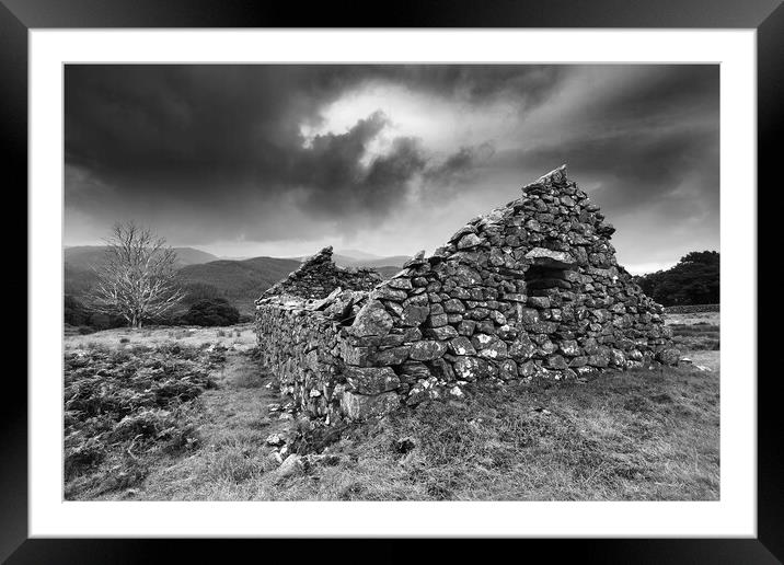 The Ruin and the Skeleton Tree Framed Mounted Print by Dave Urwin