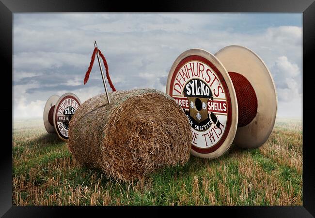 Needle in a Haystack  Framed Print by Dave Urwin