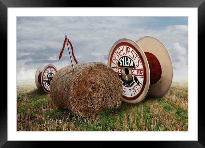Needle in a Haystack  Framed Mounted Print by Dave Urwin