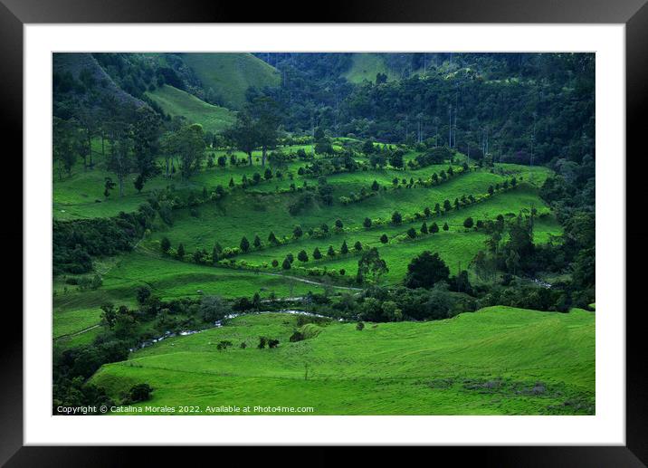 Colombia, Landscape in greens Framed Mounted Print by Catalina Morales