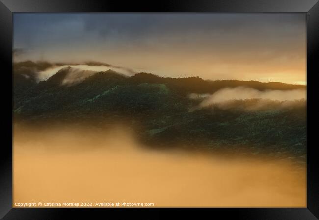 Sunrise in the Andean rainforest of Colombia Framed Print by Catalina Morales