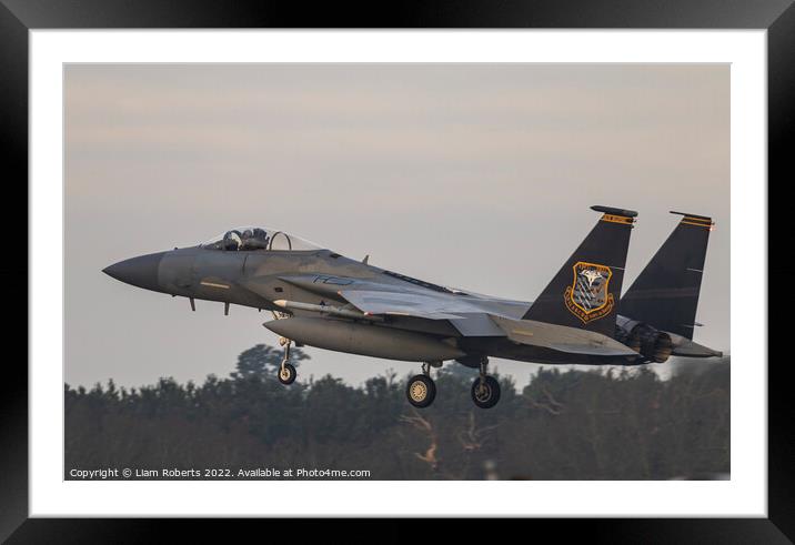 USAF McDonnell Douglas F15C Eagle '86-0172' Framed Mounted Print by Liam Roberts