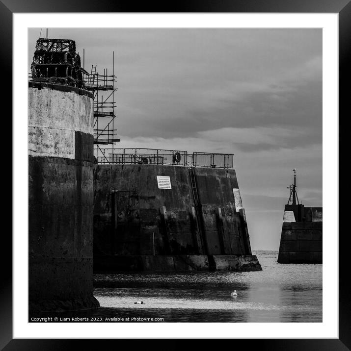 Harbour Walls  Framed Mounted Print by Liam Roberts