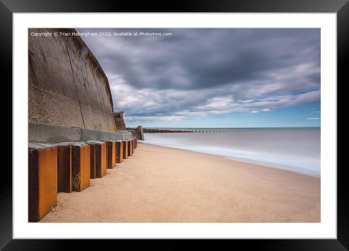 Hornsea Seafront  Framed Mounted Print by Traci Habergham
