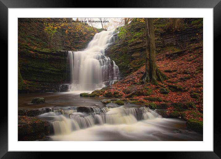 An Autumnal Scalebar Force Waterfall Framed Mounted Print by Traci Habergham