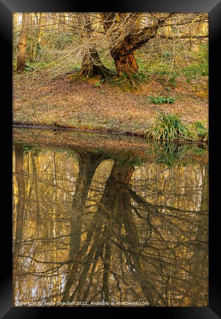 Reflections Framed Print by Andy Shackell