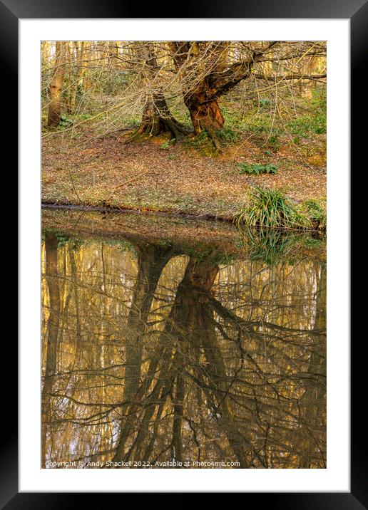 Reflections Framed Mounted Print by Andy Shackell
