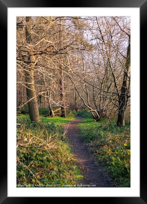 Forest path Framed Mounted Print by Andy Shackell