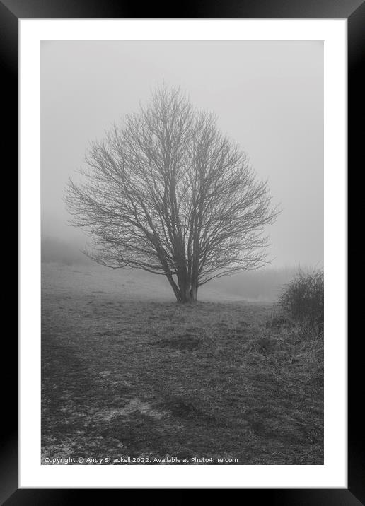 Tree in the mist Framed Mounted Print by Andy Shackell