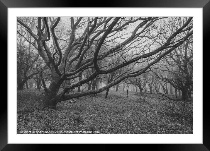 No way Through Framed Mounted Print by Andy Shackell
