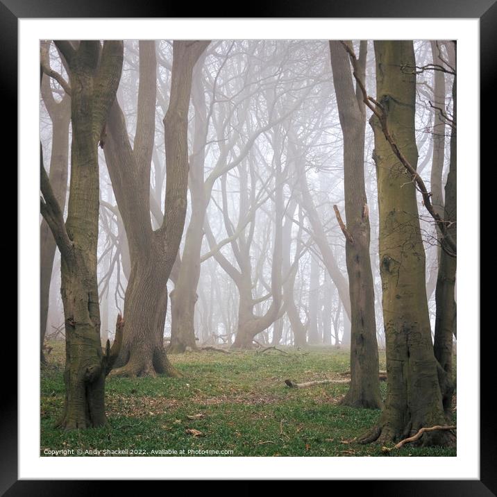 The beckoning  Framed Mounted Print by Andy Shackell
