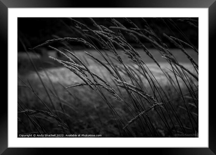Whispering Grass Framed Mounted Print by Andy Shackell