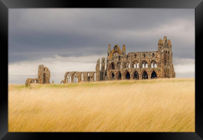 Whitby Abbey Framed Print by Andy Shackell