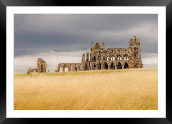 Whitby Abbey Framed Mounted Print by Andy Shackell