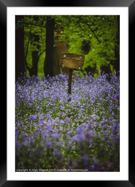 Sign in the Bluebells Framed Mounted Print by Andy Shackell