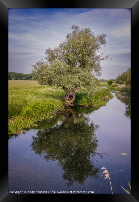 Ancient Willow on the Ouse Framed Print by Andy Shackell